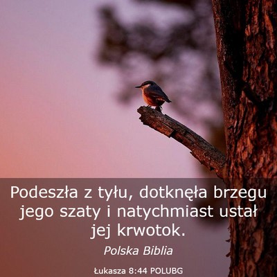 Picture 03 - Łukasza 8:44 POLUBG - Podeszła z tyłu, dotknęła brzegu jego szaty i - Bible Verse Picture
