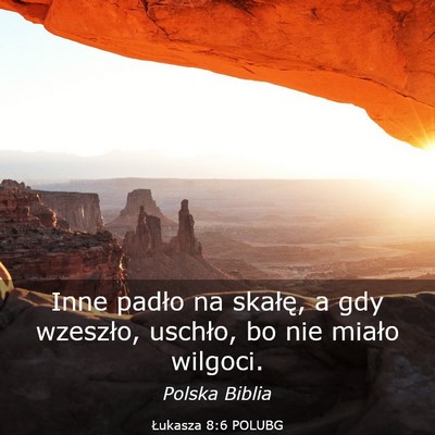 Picture 03 - Łukasza 8:6 POLUBG - Inne padło na skałę, a gdy wzeszło, uschło, - Bible Verse Picture