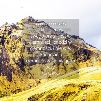 Picture 04 - 1 Jana 2:11 POLUBG - Lecz kto nienawidzi swego brata, jest w - Bible Verse Picture