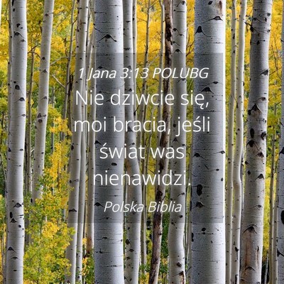 Picture 04 - 1 Jana 3:13 POLUBG - Nie dziwcie się, moi bracia, jeśli świat was - Bible Verse Picture