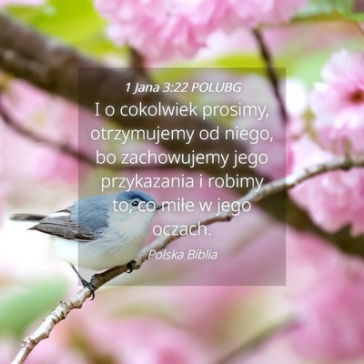 Picture 04 - 1 Jana 3:22 POLUBG - I o cokolwiek prosimy, otrzymujemy od niego, bo - Bible Verse Picture