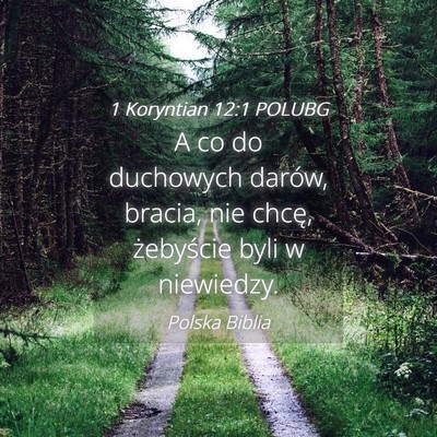 Picture 04 - 1 Koryntian 12:1 POLUBG - A co do duchowych darów, bracia, nie chcę, - Bible Verse Picture