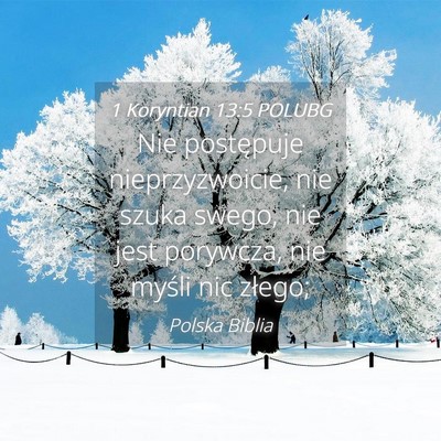 Picture 04 - 1 Koryntian 13:5 POLUBG - Nie postępuje nieprzyzwoicie, nie szuka swego, - Bible Verse Picture