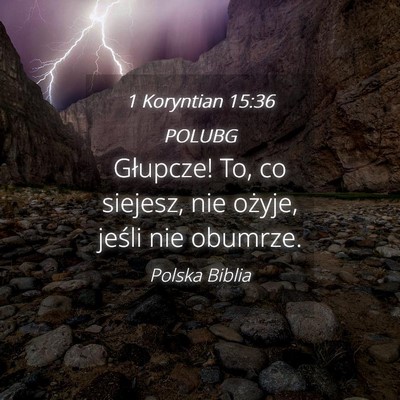 Picture 04 - 1 Koryntian 15:36 POLUBG - Głupcze! To, co siejesz, nie ożyje, jeśli nie - Bible Verse Picture