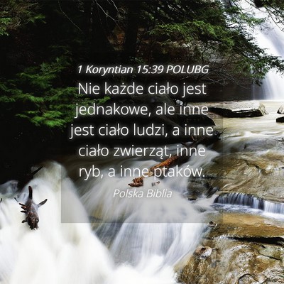 Picture 04 - 1 Koryntian 15:39 POLUBG - Nie każde ciało jest jednakowe, ale inne jest - Bible Verse Picture