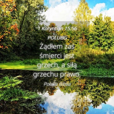 Picture 04 - 1 Koryntian 15:56 POLUBG - Żądłem zaś śmierci jest grzech, a siłą - Bible Verse Picture