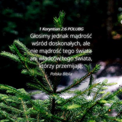 Picture 04 - 1 Koryntian 2:6 POLUBG - Głosimy jednak mądrość wśród doskonałych, - Bible Verse Picture