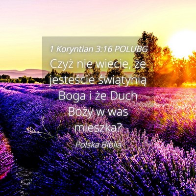 Picture 04 - 1 Koryntian 3:16 POLUBG - Czyż nie wiecie, że jesteście świątynią - Bible Verse Picture