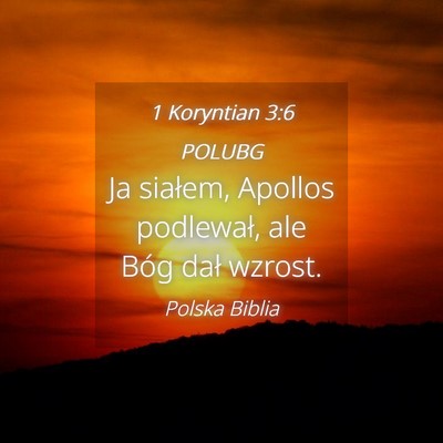 Picture 04 - 1 Koryntian 3:6 POLUBG - Ja siałem, Apollos podlewał, ale Bóg dał - Bible Verse Picture