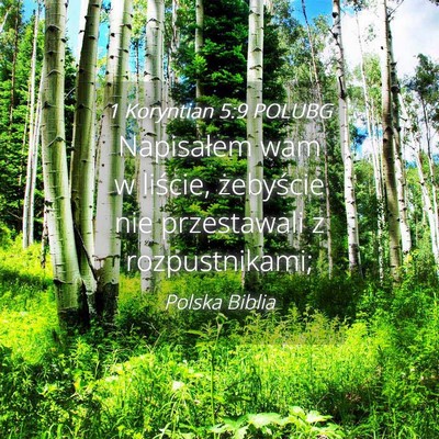 Picture 04 - 1 Koryntian 5:9 POLUBG - Napisałem wam w liście, żebyście nie - Bible Verse Picture