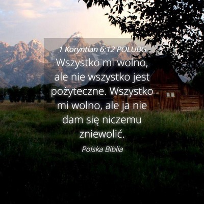 Picture 04 - 1 Koryntian 6:12 POLUBG - Wszystko mi wolno, ale nie wszystko jest - Bible Verse Picture