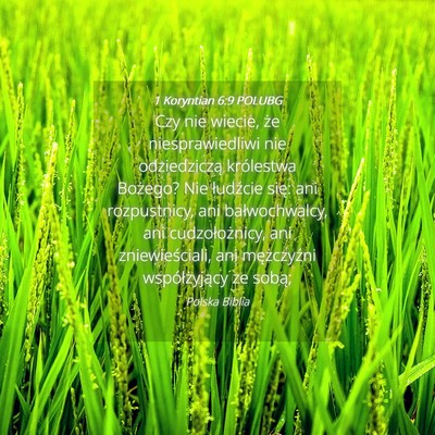 Picture 04 - 1 Koryntian 6:9 POLUBG - Czy nie wiecie, że niesprawiedliwi nie - Bible Verse Picture