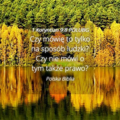 Picture 04 - 1 Koryntian 9:8 POLUBG - Czy mówię to tylko na sposób ludzki? Czy nie - Bible Verse Picture