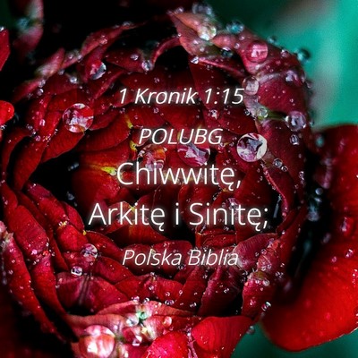 Picture 04 - 1 Kronik 1:15 POLUBG - Chiwwitę, Arkitę i - Bible Verse Picture