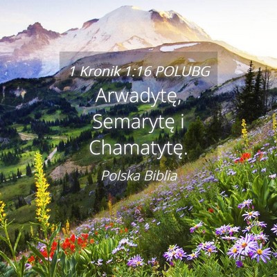 Picture 04 - 1 Kronik 1:16 POLUBG - Arwadytę, Semarytę i - Bible Verse Picture
