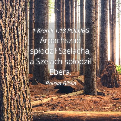 Picture 04 - 1 Kronik 1:18 POLUBG - Arpachszad spłodził Szelacha, a Szelach - Bible Verse Picture