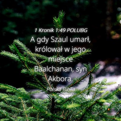 Picture 04 - 1 Kronik 1:49 POLUBG - A gdy Szaul umarł, królował w jego miejsce - Bible Verse Picture
