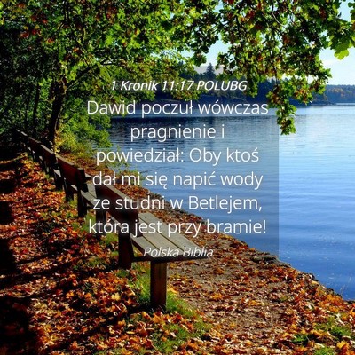 Picture 04 - 1 Kronik 11:17 POLUBG - Dawid poczuł wówczas pragnienie i powiedział: - Bible Verse Picture