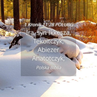 Picture 04 - 1 Kronik 11:28 POLUBG - Ira, syn Ikkesza, Tekoitczyk, Abiezer - Bible Verse Picture