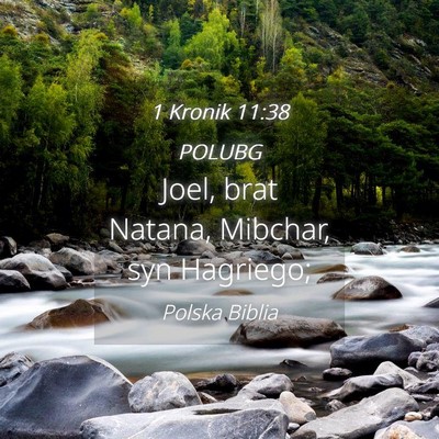 Picture 04 - 1 Kronik 11:38 POLUBG - Joel, brat Natana, Mibchar, syn - Bible Verse Picture