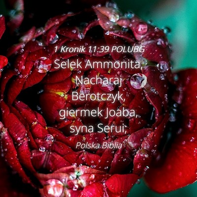 Picture 04 - 1 Kronik 11:39 POLUBG - Selek Ammonita, Nacharaj Berotczyk, giermek - Bible Verse Picture