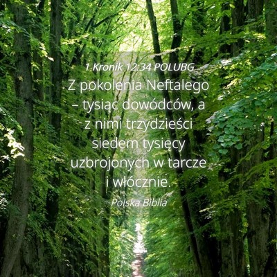 Picture 04 - 1 Kronik 12:34 POLUBG - Z pokolenia Neftalego – tysiąc dowódców, a z - Bible Verse Picture