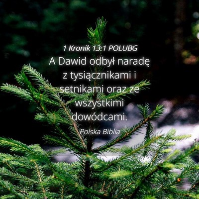 Picture 04 - 1 Kronik 13:1 POLUBG - A Dawid odbył naradę z tysiącznikami i - Bible Verse Picture