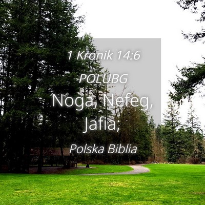 Picture 04 - 1 Kronik 14:6 POLUBG - Noga, Nefeg, - Bible Verse Picture