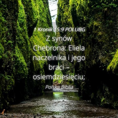Picture 04 - 1 Kronik 15:9 POLUBG - Z synów Chebrona: Eliela naczelnika i jego braci - Bible Verse Picture
