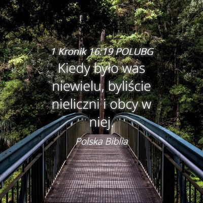 Picture 04 - 1 Kronik 16:19 POLUBG - Kiedy było was niewielu, byliście nieliczni i - Bible Verse Picture