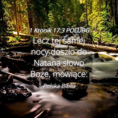 Picture 04 - 1 Kronik 17:3 POLUBG - Lecz tej samej nocy doszło do Natana słowo - Bible Verse Picture