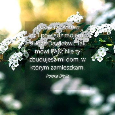 Picture 04 - 1 Kronik 17:4 POLUBG - Idź i powiedz mojemu słudze Dawidowi: Tak mówi - Bible Verse Picture