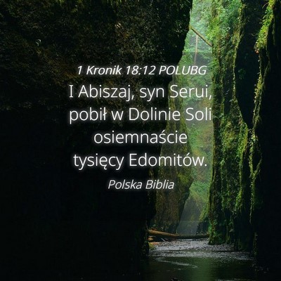 Picture 04 - 1 Kronik 18:12 POLUBG - I Abiszaj, syn Serui, pobił w Dolinie Soli - Bible Verse Picture