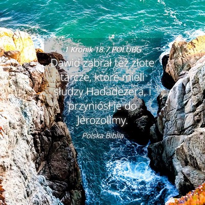 Picture 04 - 1 Kronik 18:7 POLUBG - Dawid zabrał też złote tarcze, które mieli - Bible Verse Picture