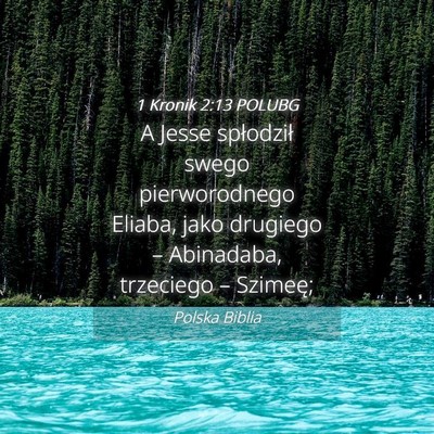 Picture 04 - 1 Kronik 2:13 POLUBG - A Jesse spłodził swego pierworodnego Eliaba, - Bible Verse Picture