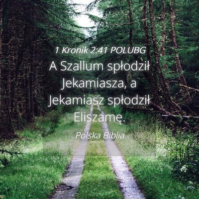 Picture 04 - 1 Kronik 2:41 POLUBG - A Szallum spłodził Jekamiasza, a Jekamiasz - Bible Verse Picture