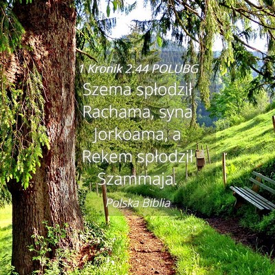 Picture 04 - 1 Kronik 2:44 POLUBG - Szema spłodził Rachama, syna Jorkoama, a Rekem - Bible Verse Picture