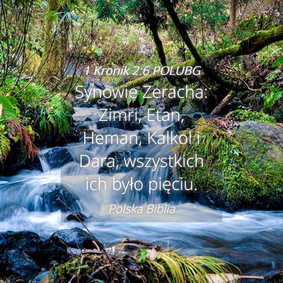 Picture 04 - 1 Kronik 2:6 POLUBG - Synowie Zeracha: Zimri, Etan, Heman, Kalkol i - Bible Verse Picture