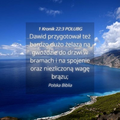 Picture 04 - 1 Kronik 22:3 POLUBG - Dawid przygotował też bardzo dużo żelaza na - Bible Verse Picture
