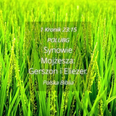 Picture 04 - 1 Kronik 23:15 POLUBG - Synowie Mojżesza: Gerszon i - Bible Verse Picture