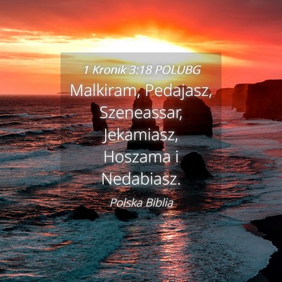 Picture 04 - 1 Kronik 3:18 POLUBG - Malkiram, Pedajasz, Szeneassar, Jekamiasz, - Bible Verse Picture