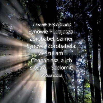 Picture 04 - 1 Kronik 3:19 POLUBG - Synowie Pedajasza: Zorobabel, Szimei. Synowie - Bible Verse Picture