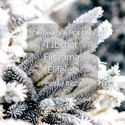 Picture 04 - 1 Kronik 3:6 POLUBG - I Ibchar, Eliszama, - Bible Verse Picture