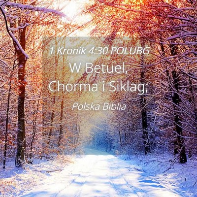 Picture 04 - 1 Kronik 4:30 POLUBG - W Betuel, Chorma i - Bible Verse Picture