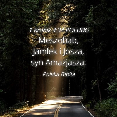 Picture 04 - 1 Kronik 4:34 POLUBG - Meszobab, Jamlek i Josza, syn - Bible Verse Picture