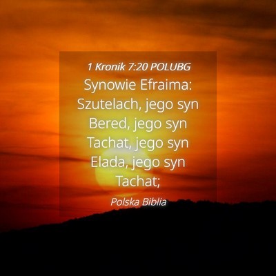Picture 04 - 1 Kronik 7:20 POLUBG - Synowie Efraima: Szutelach, jego syn Bered, jego - Bible Verse Picture