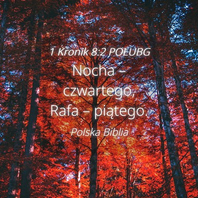 Picture 04 - 1 Kronik 8:2 POLUBG - Nocha – czwartego, Rafa – - Bible Verse Picture