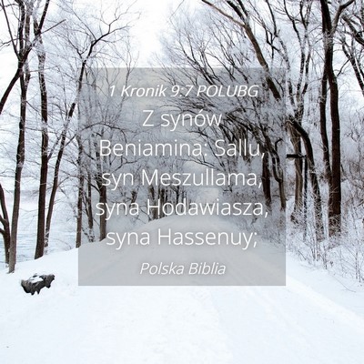 Picture 04 - 1 Kronik 9:7 POLUBG - Z synów Beniamina: Sallu, syn Meszullama, syna - Bible Verse Picture