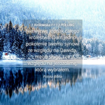 Picture 04 - 1 Królewska 11:13 POLUBG - Nie wyrwę jednak całego królestwa. Dam jedno - Bible Verse Picture