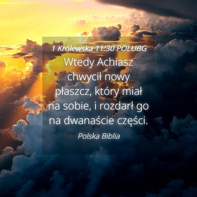 Picture 04 - 1 Królewska 11:30 POLUBG - Wtedy Achiasz chwycił nowy płaszcz, który - Bible Verse Picture